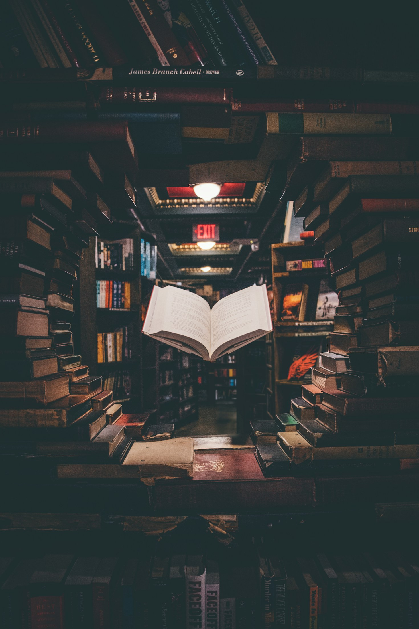 Tips for Aspiring Writers: From Page to Publication